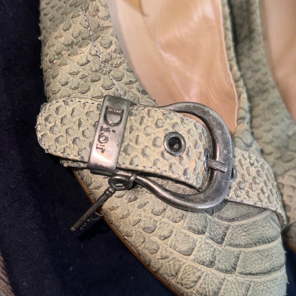Dior ballet shoes, python - Picture 1 of 5